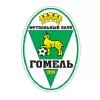 ФК Гомель