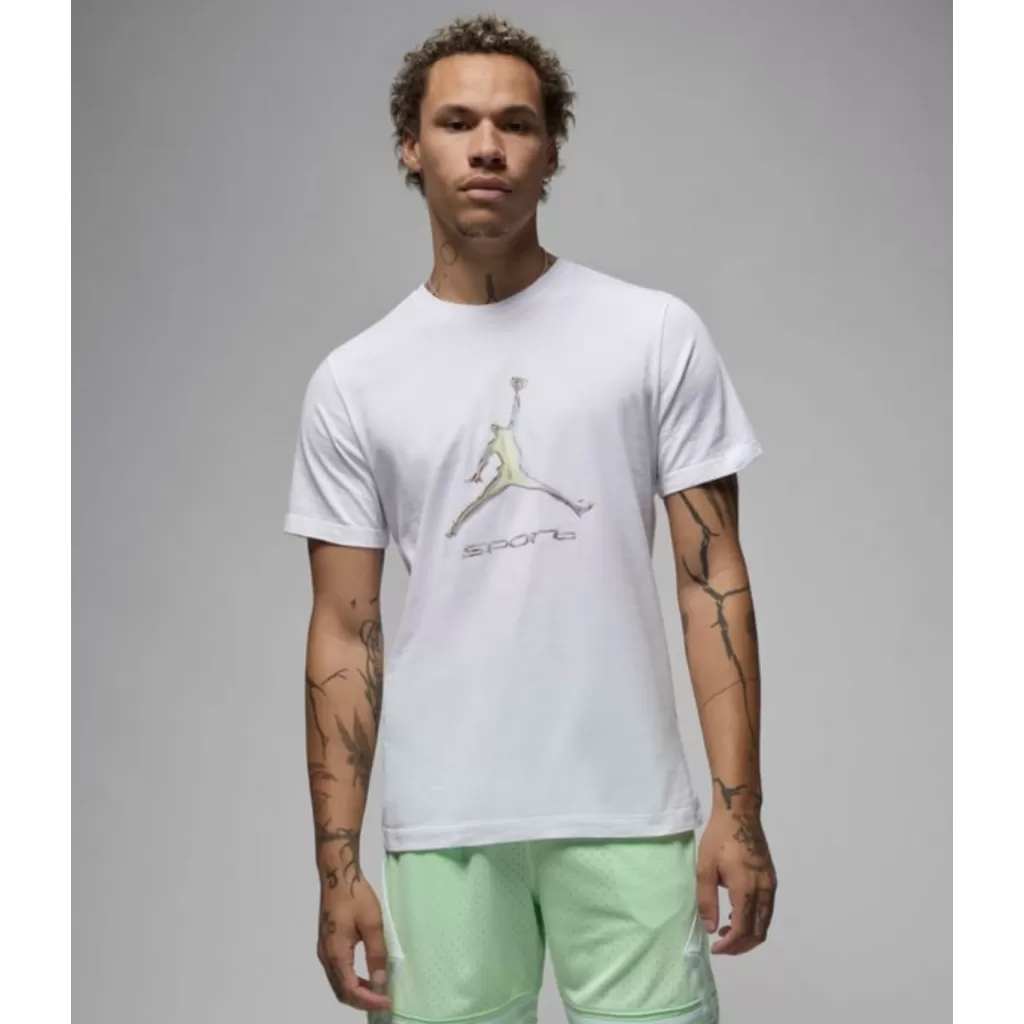 Футболка Nike Jordan Sport T Shirt