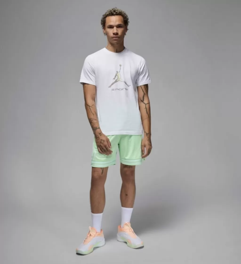 Футболка Nike Jordan Sport T Shirt