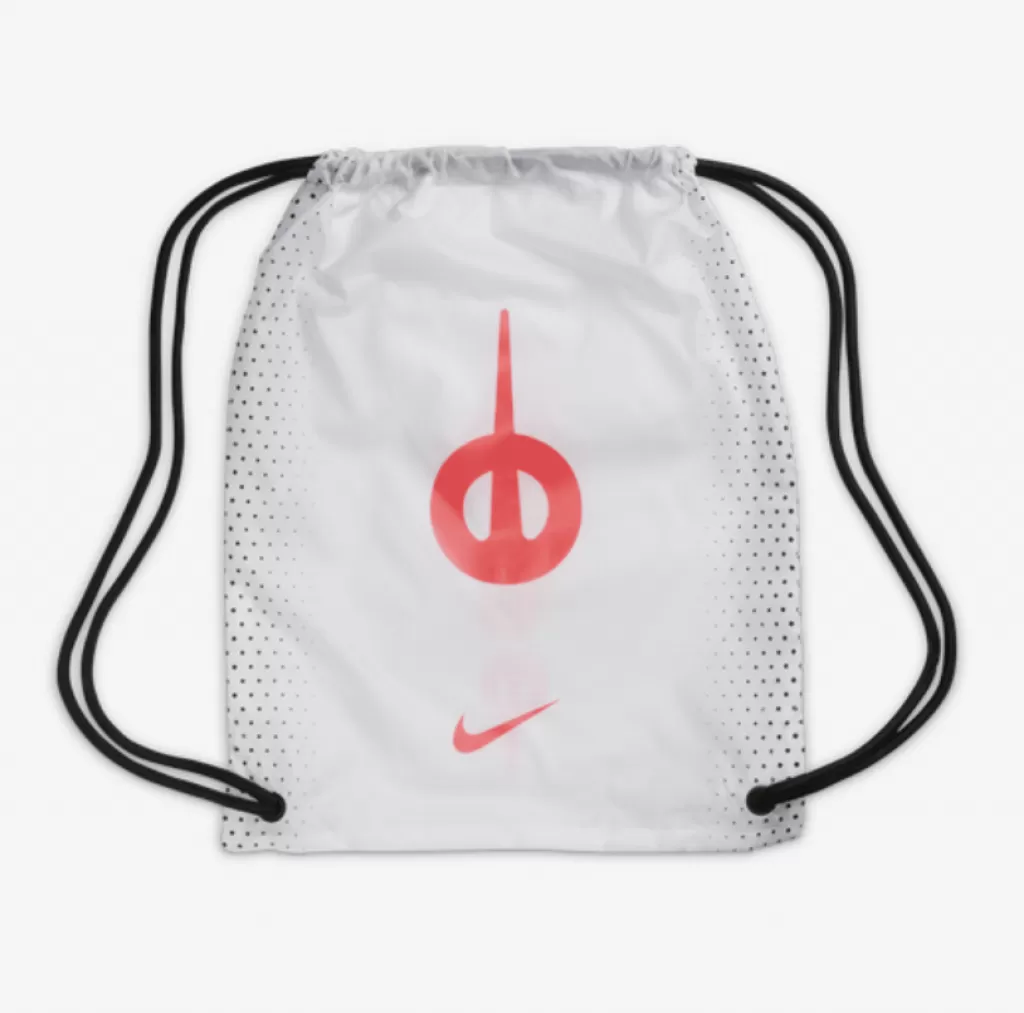 Бутсы профессиональные Nike Tiempo Legend 10 Elite FG