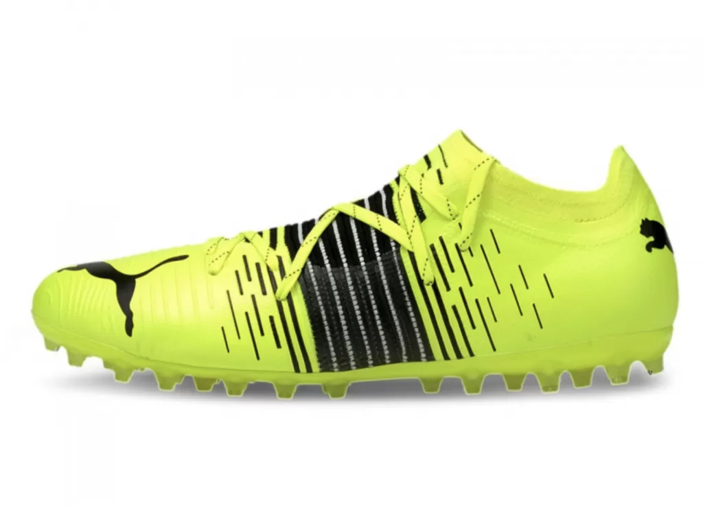 Бутсы профессиональные Puma Future Z 2.1 MG