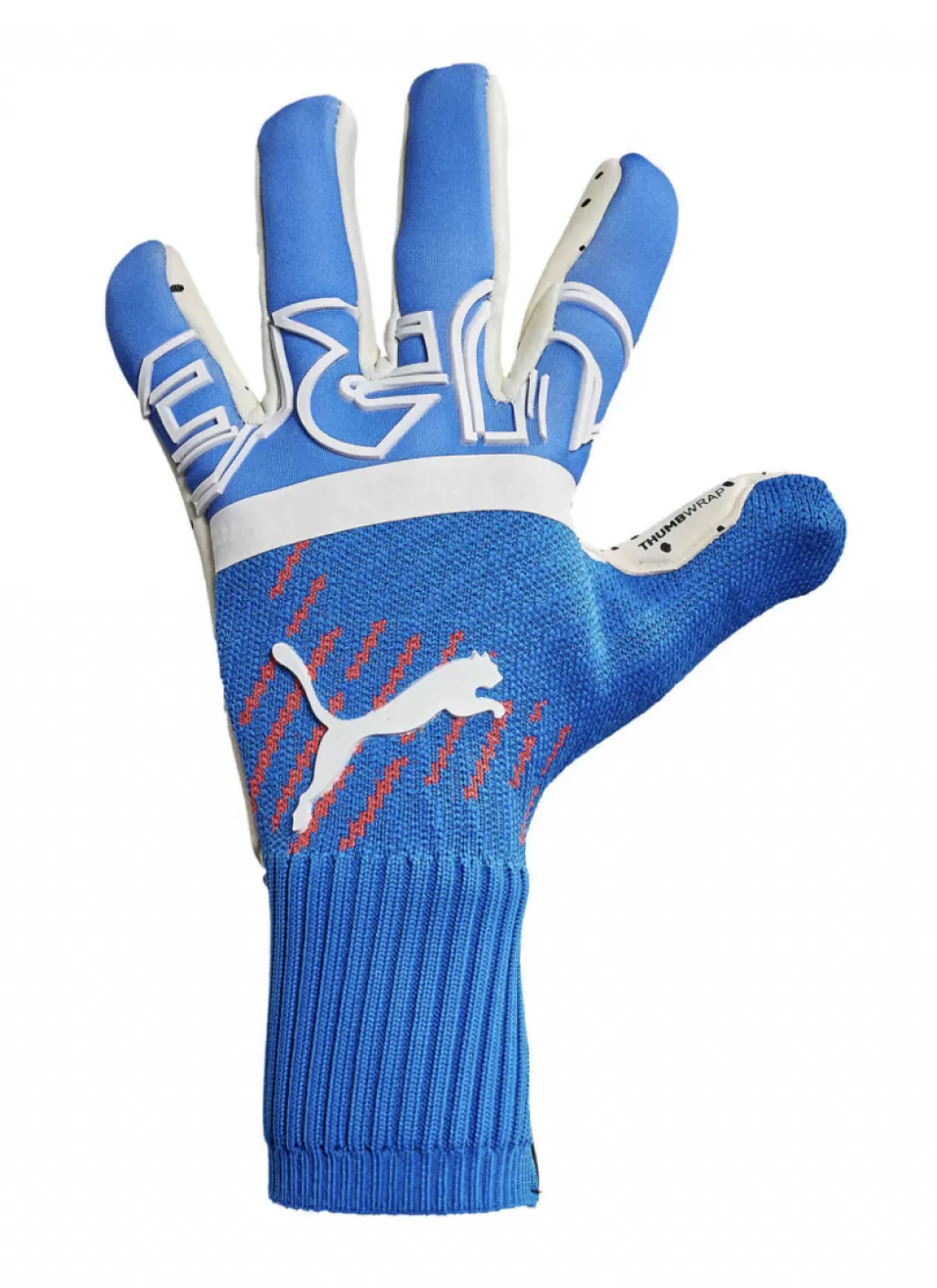 Перчатки профессиональные Puma Future Z Grip 1 Hybrid Pro Gloves