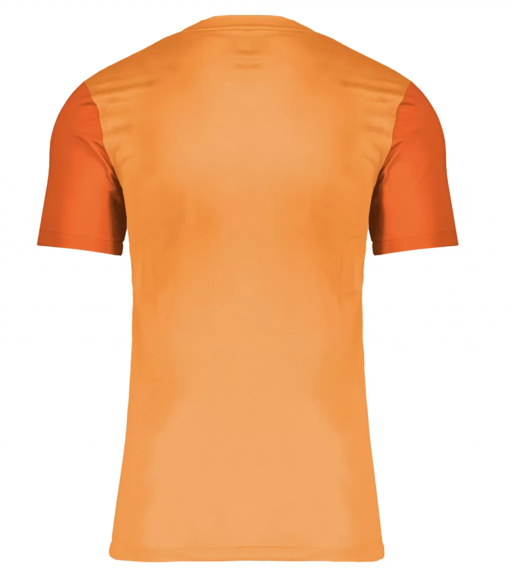 Майка игровая Nike Trophy V Jersey